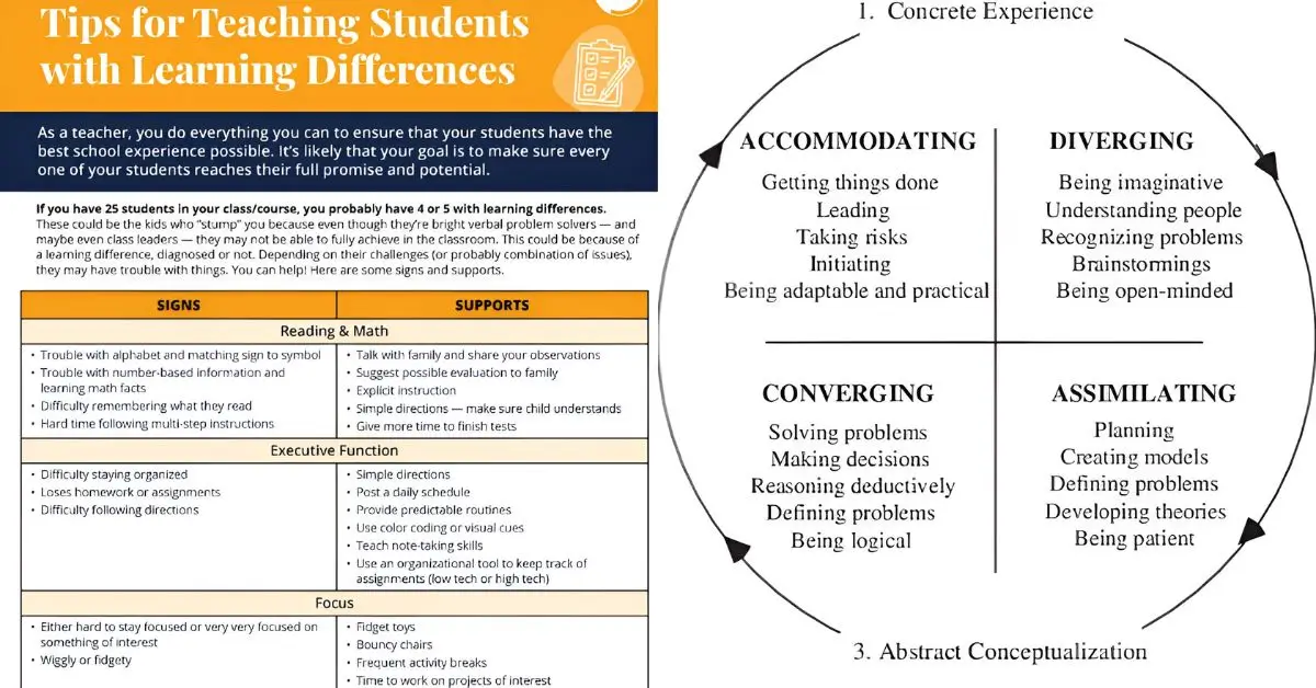 what are learner differences