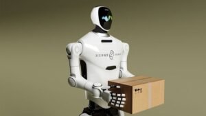 winqizmorzqux product