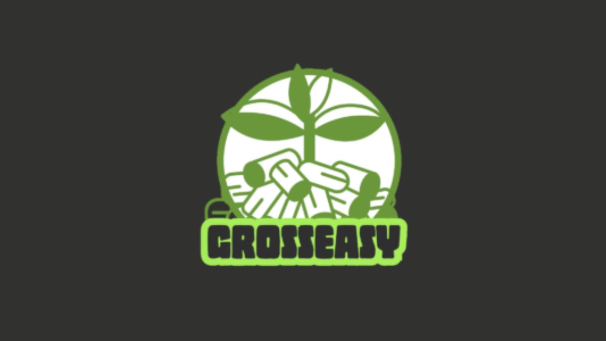 grosseasy com