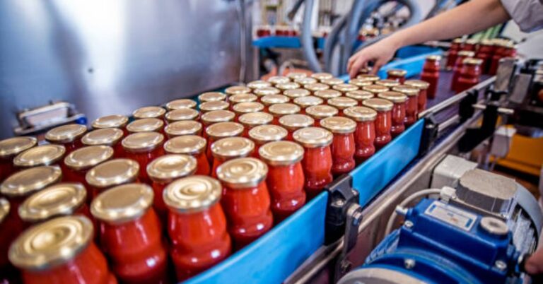 Fruit Canning Machines