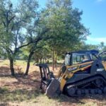 Texas Land Clearing Solutions