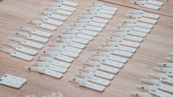 Understanding KDVOL Removal in 2026: A Comprehensive Guide