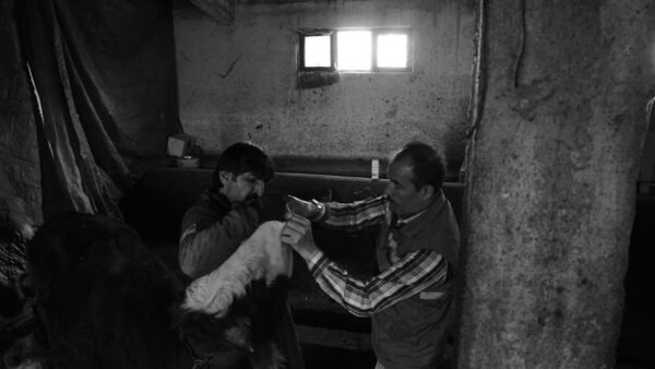 Understanding Vçç: The Emerging AI Concept in Speculative Fiction