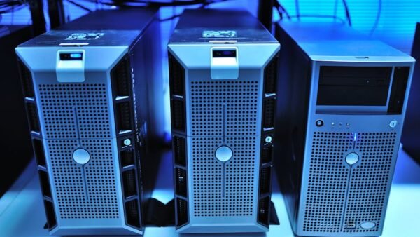 Best PvE DayZ Servers in 2026: Top Choices for Survival Players