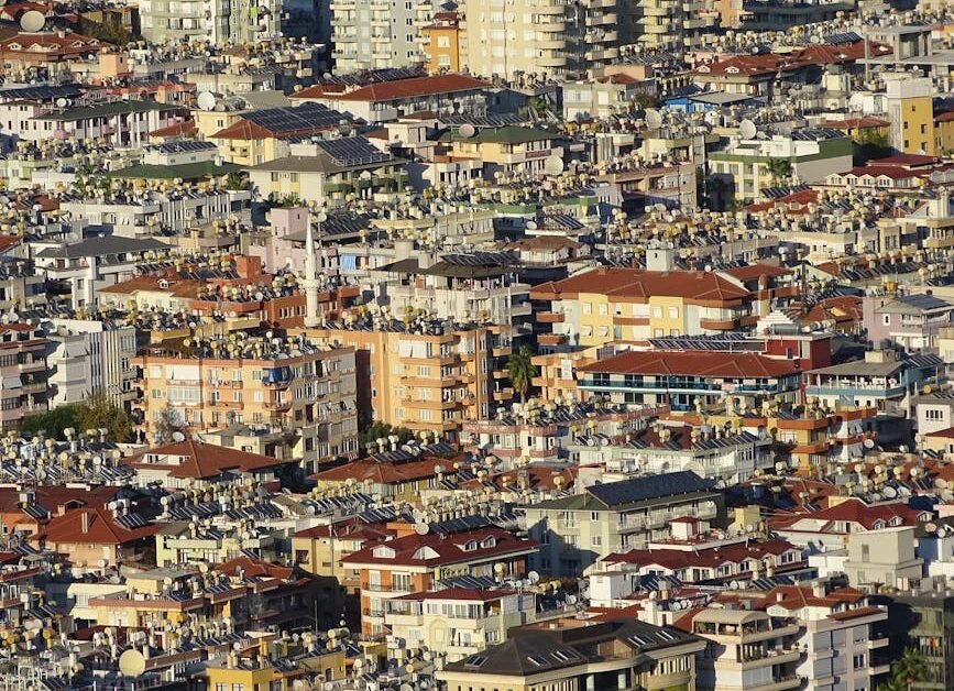 Understanding Simpcity: A Deep Dive into the Concept