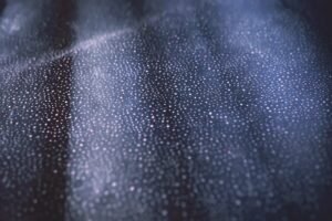 Understanding Simple Diffusion Models in Speculative Fiction World-Building