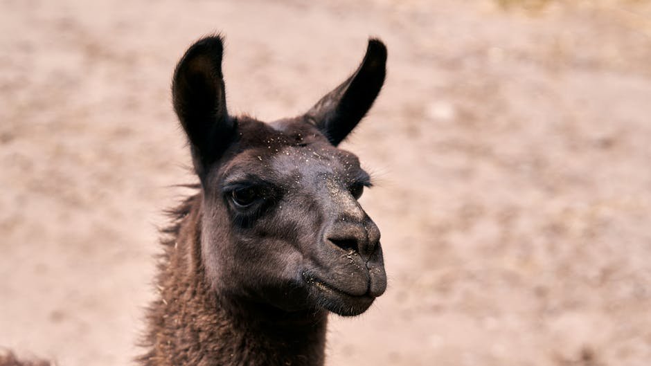 Meta Llama 4 AI Model Updates 2026: Key Enhancements and Performance Boosts