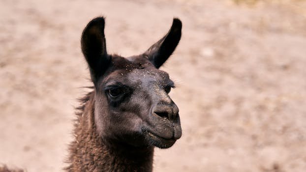 Meta Llama 4 ControlNet models for anime generation in 2026
