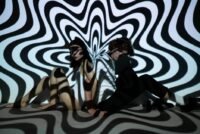 Understanding AI Hallucinations: Causes, Consequences, and Mitigation Strategies